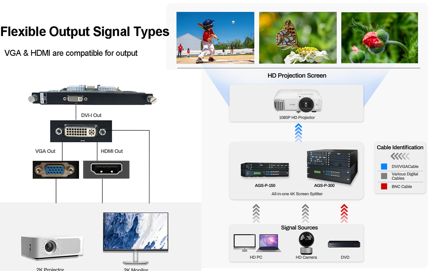  AGS-P-2K Video Processor- flexible output signal types