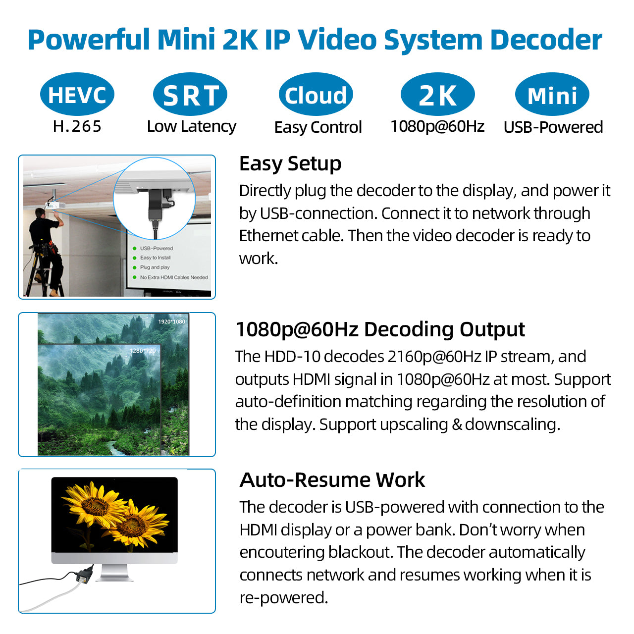 DDMALL HDD-10 1080p@60Hz H.265 H.264 IP Video Decoder Decode ONVIF RTSP Cameras